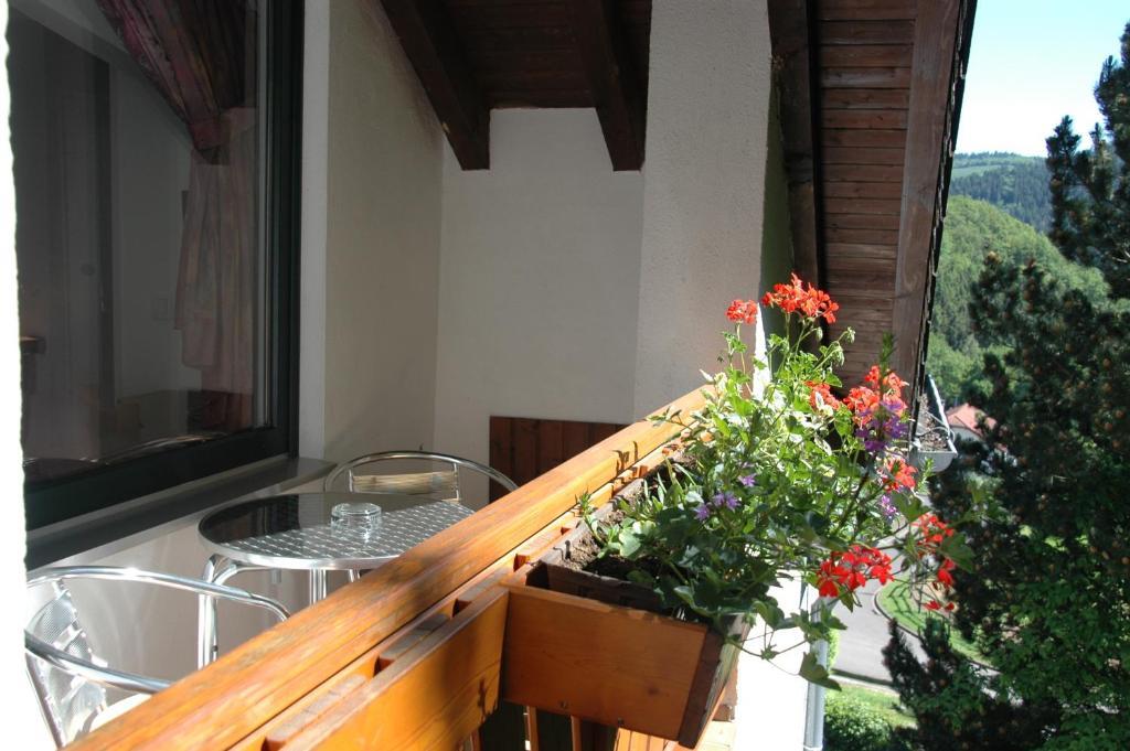 Pension Haus Diefenbach Heimbach Oda fotoğraf